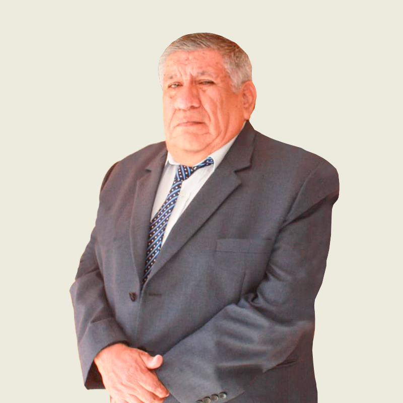 Ing. Alfredo Ramírez Aguilar